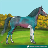 Horse Color:Watercolor Bay Splash Tobiano 
