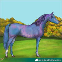 Horse Color:Watercolor Bay Tobiano  and Watercolor Bay Tobiano 