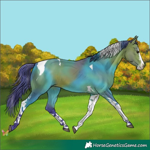 Horse Color:Watercolor Bay Splash Tobiano 