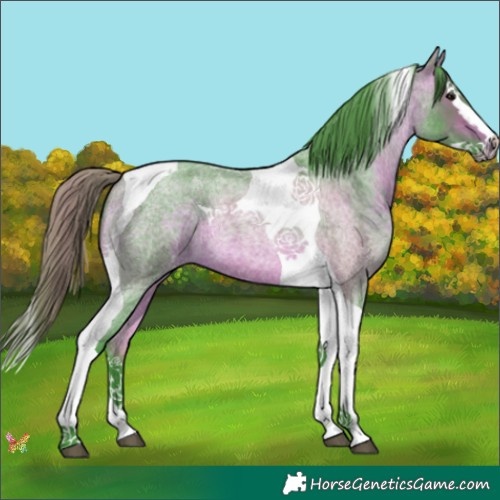 Horse Color:Watercolor Bay Roan Splash Tobiano 