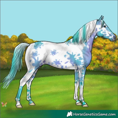 Horse Color:Watercolor Bay Splash Tobiano Frame 