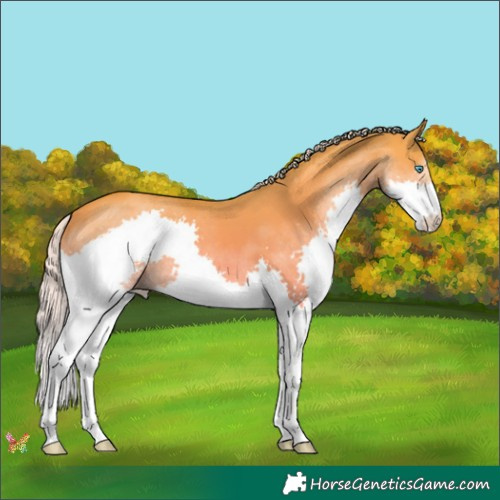 Horse Color:Watercolor Silver Classic Champagne Dun Splash 