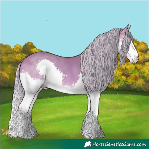 Horse Color:Watercolor Silver Sable Champagne Splash 