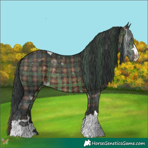 Horse Color:Plaid  Brown Rabicano 