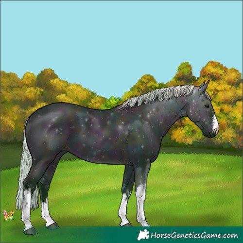 Horse Color:Watercolor White Spotted Midnight Silver Brown Dun 