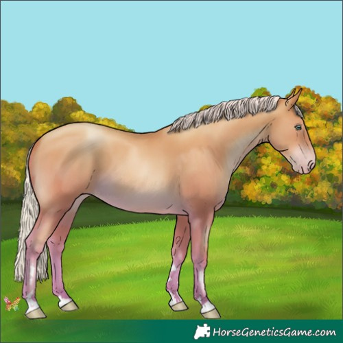 Horse Color:Silver Sable Champagne Pearl 