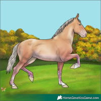 Horse Color:Silver Sable Champagne Pearl 