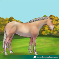 Horse Color:Silver Sable Champagne Pearl 