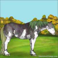 Horse Color:Watercolor Midnight Sable Cream Champagne Splash 