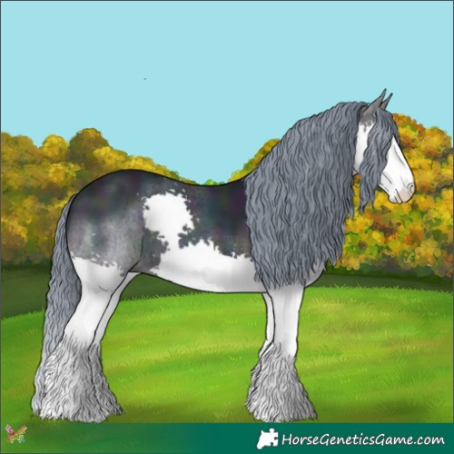 Horse Color:Watercolor White Spotted Midnight Buckskin Splash 