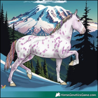 Horse Color:Painted Watercolor Gold Champagne Appaloosa 