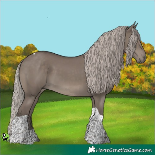 Horse Color:Silver Grullo Tobiano