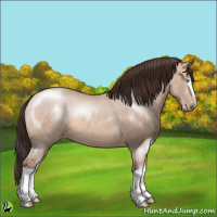 Horse Color:White Spotted Sable Champagne Dun 