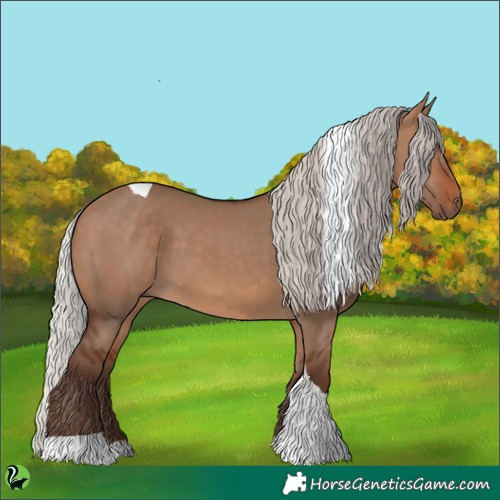 Horse Color:Silver Brown Dun Tobiano 