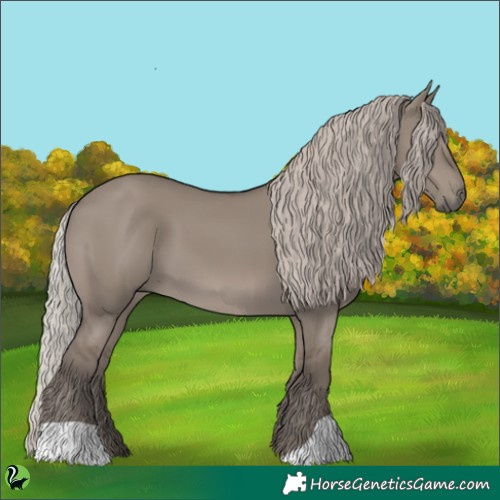 Horse Color:Silver Grullo 