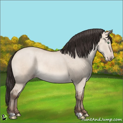 Horse Color:Sable Champagne Dun Rabicano 