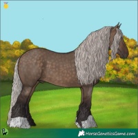 Horse Color:Silver Brown Dun