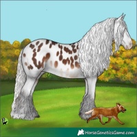Horse Color:Silver Brown Blanket 