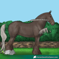 Horse Color:Silver Black 
