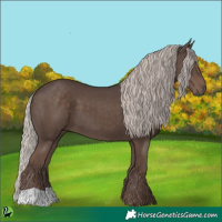 Horse Color:Silver Black 