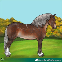Horse Color:Silver Brown Tobiano 