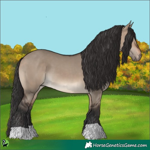 Horse Color:Brown Dun 