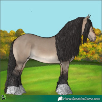 Horse Color:Brown Dun 