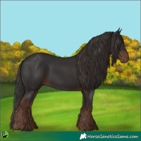 Horse Color:White Spotted Liver Chestnut Rabicano 