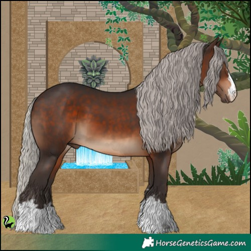 Horse Color:Silver Brown 
