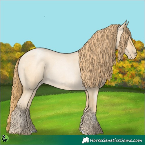 Horse Color:Buckskin Roan Pearl
