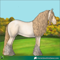 Horse Color:Buckskin Roan Pearl 