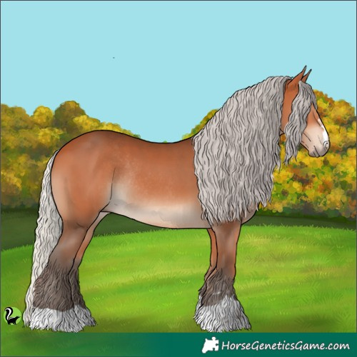 Horse Color:Silver Bay Rabicano 