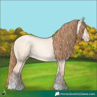 Horse Color:Buckskin Pearl Dun Tobiano