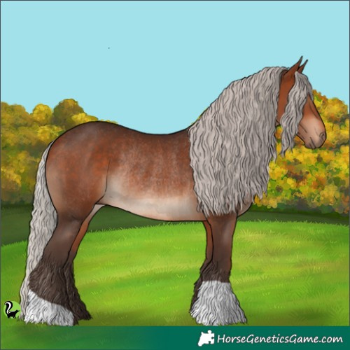Horse Color:Silver Brown Rabicano 