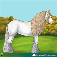 Horse Color:Buckskin Pearl Dun Splash 