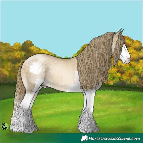 Horse Color:Buckskin Pearl Splash 