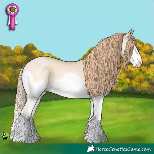Horse Color:Buckskin Pearl Splash 