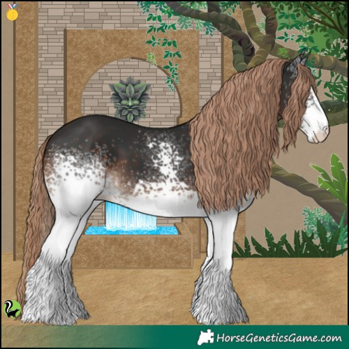 Horse Color:White Spotted Liver Chestnut