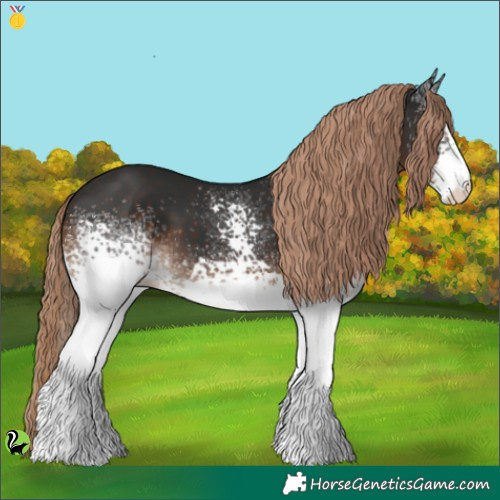 Horse Color:White Spotted Liver Chestnut