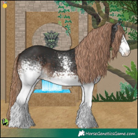 Horse Color:White Spotted Liver Chestnut 