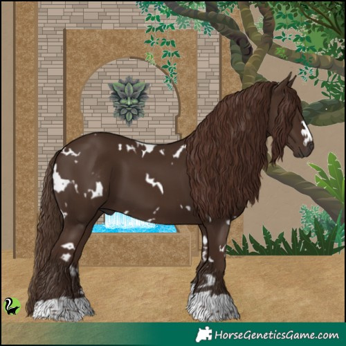 Horse Color:White Spotted Liver Chestnut 