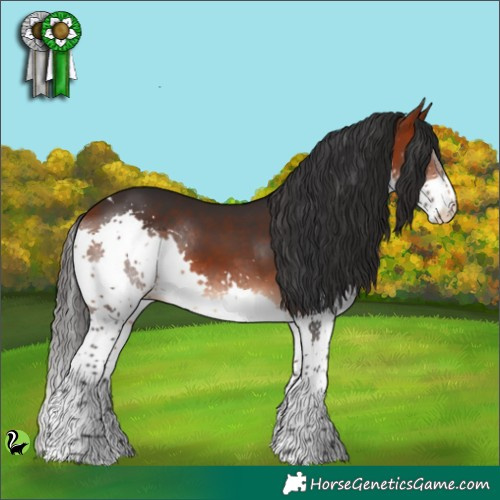 Horse Color:Brown Splash Tobiano Rabicano 