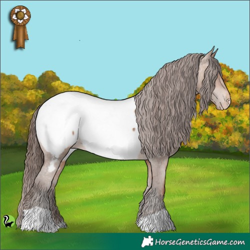 Horse Color:Sable Champagne Appaloosa 