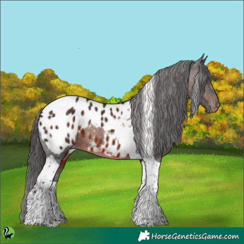 Horse Color:Brown Tobiano Blanket 