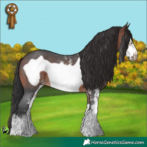 Horse Color:Brown Sabino Frame 