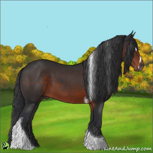 Horse Color:Brown Sabino Tobiano 