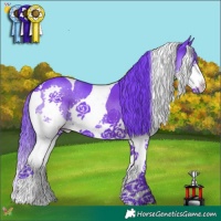 Horse Color:Watercolor Smoky Black Splash Tobiano