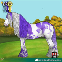 Horse Color:Watercolor Smoky Black Splash Tobiano 