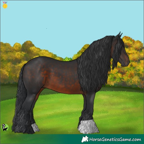 Horse Color:Brown 