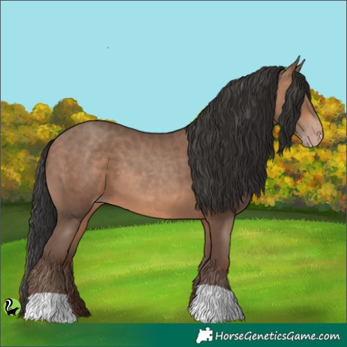 Horse Color:Sable Champagne 